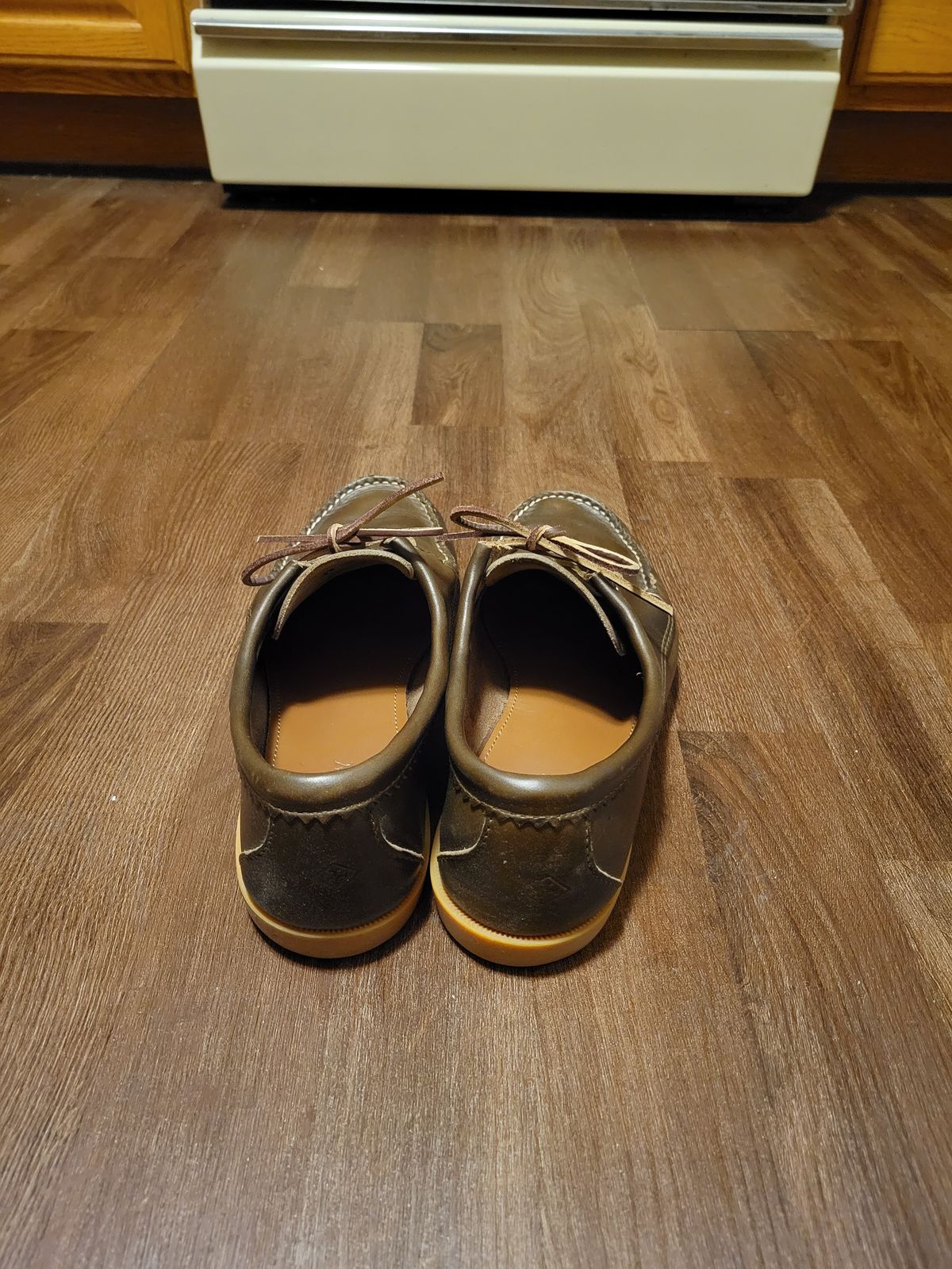 Photo by MagicBeardMan86 on December 1, 2023 of the Quoddy Blucher in Horween Olive Chromexcel.