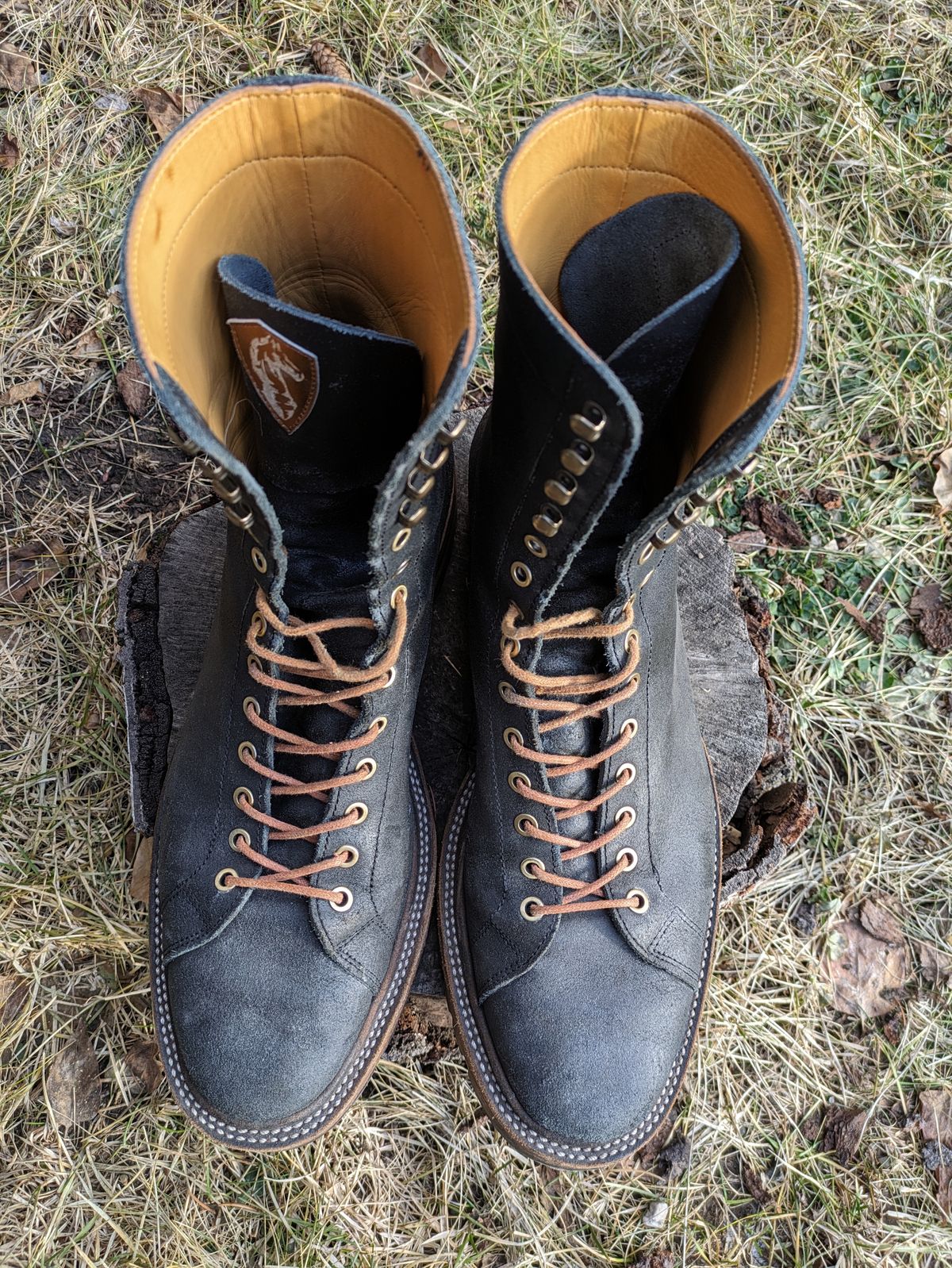 Photo by Dutch_fl on January 4, 2024 of the Prof Barnets Cleon in Indonesian Black Waxed Flesh.