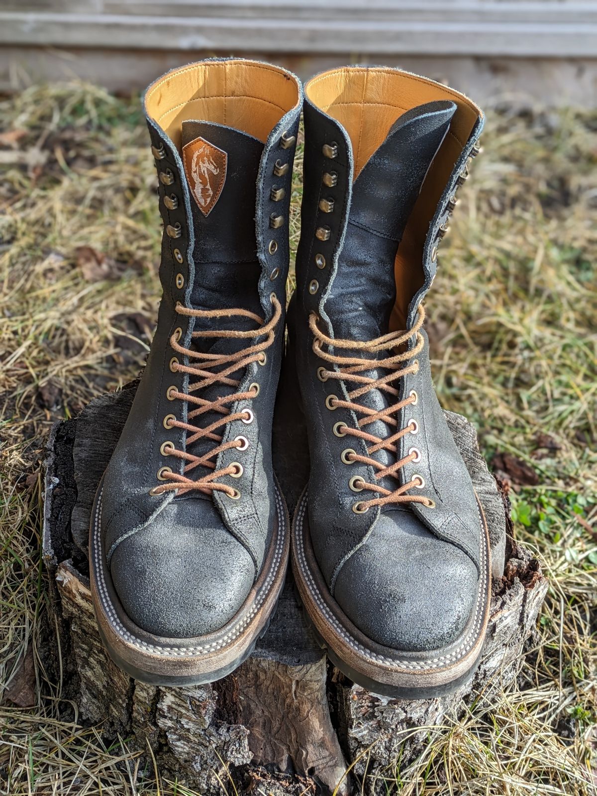 Photo by Dutch_fl on February 1, 2024 of the Prof Barnets Cleon in Indonesian Black Waxed Flesh.