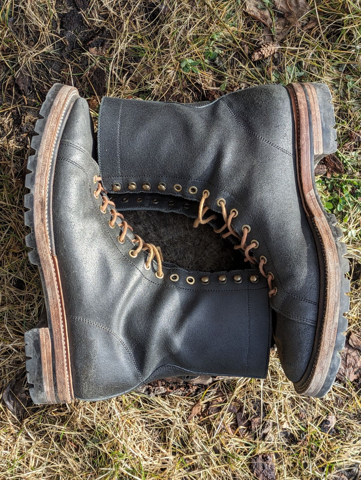 Photo by Dutch_fl on February 1, 2024 of the Prof Barnets Cleon in Indonesian Black Waxed Flesh.