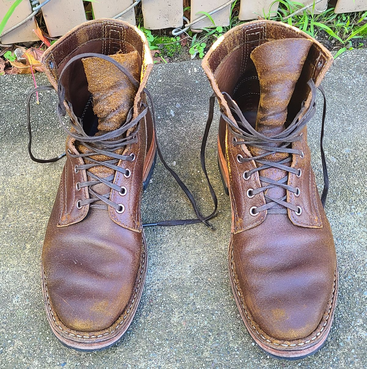 Photo by donyey on January 3, 2024 of the White's MP-Sherman Plain Toe in Horween Cinnamon Waxed Flesh.