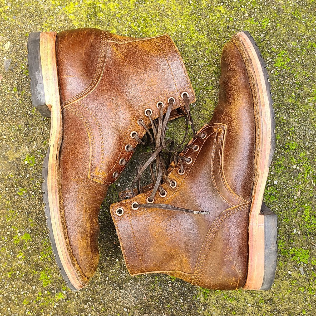 Photo by donyey on February 3, 2024 of the White's MP-Sherman Plain Toe in Horween Cinnamon Waxed Flesh.