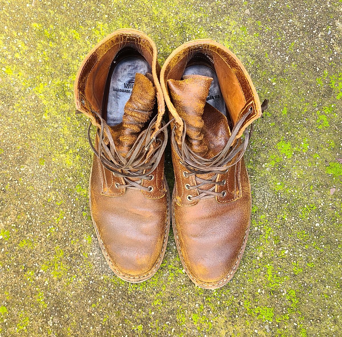 Photo by donyey on February 3, 2024 of the White's MP-Sherman Plain Toe in Horween Cinnamon Waxed Flesh.