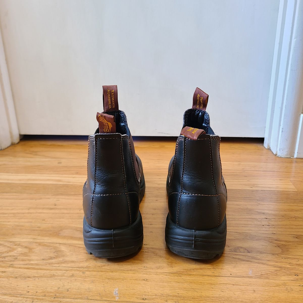 Photo by donyey on November 3, 2024 of the Blundstone 172 in Stout Brown.