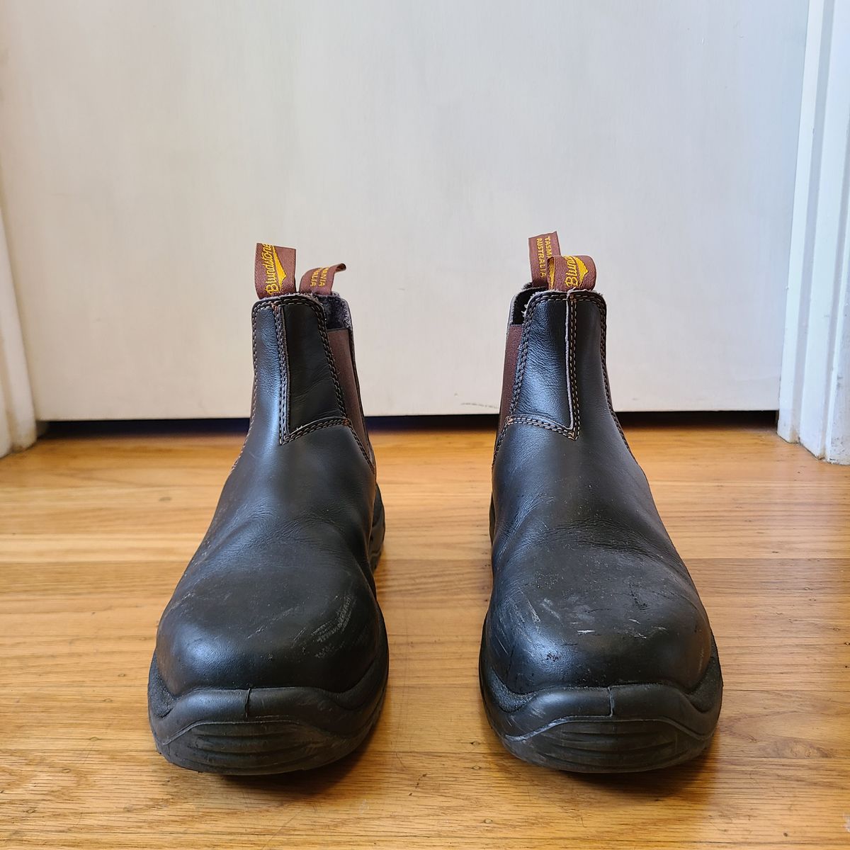 Photo by donyey on November 3, 2024 of the Blundstone 172 in Stout Brown.