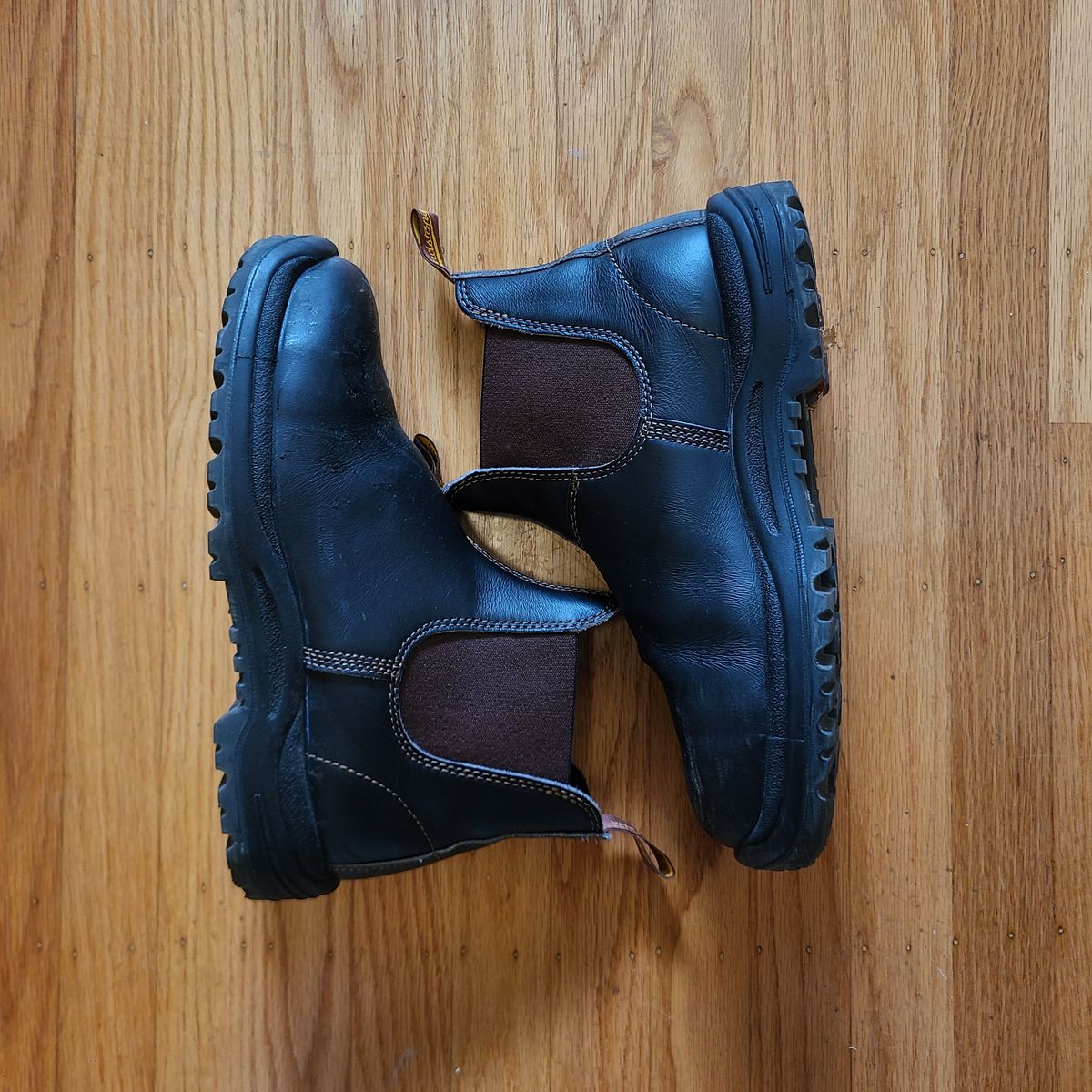 Photo by donyey on November 3, 2024 of the Blundstone 172 in Stout Brown.