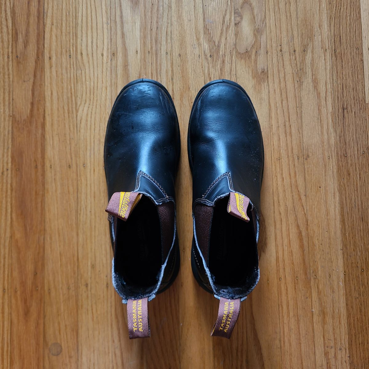 Photo by donyey on November 3, 2024 of the Blundstone 172 in Stout Brown.