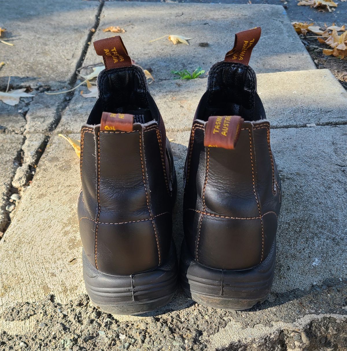Photo by donyey on December 5, 2024 of the Blundstone 172 in Stout Brown.