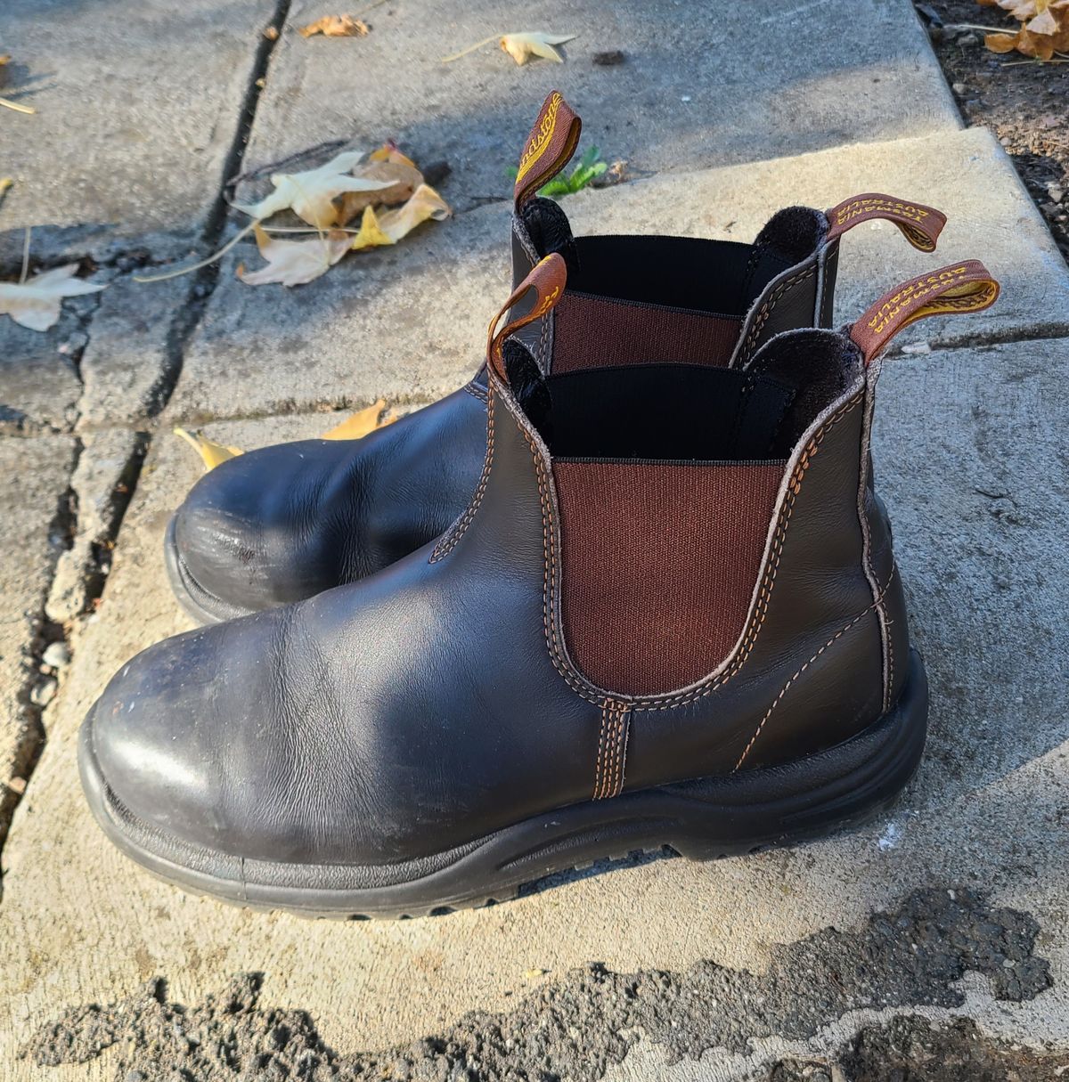 Photo by donyey on December 5, 2024 of the Blundstone 172 in Stout Brown.