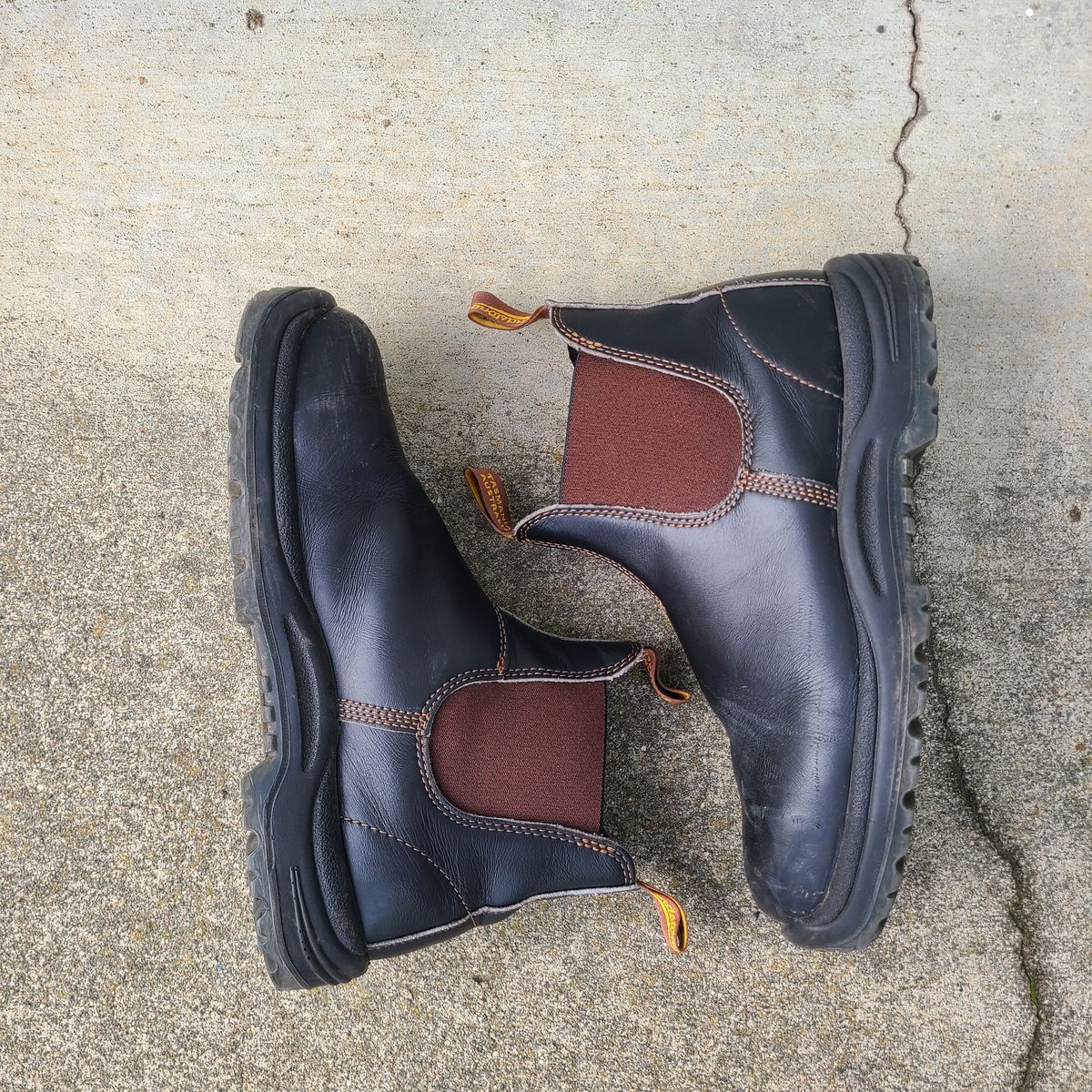 Photo by donyey on January 5, 2025 of the Blundstone 172 in Stout Brown.