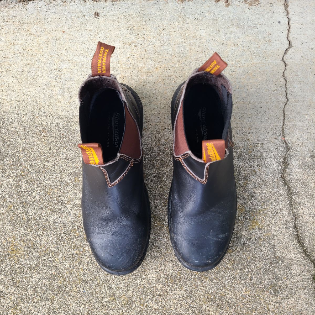Photo by donyey on January 5, 2025 of the Blundstone 172 in Stout Brown.