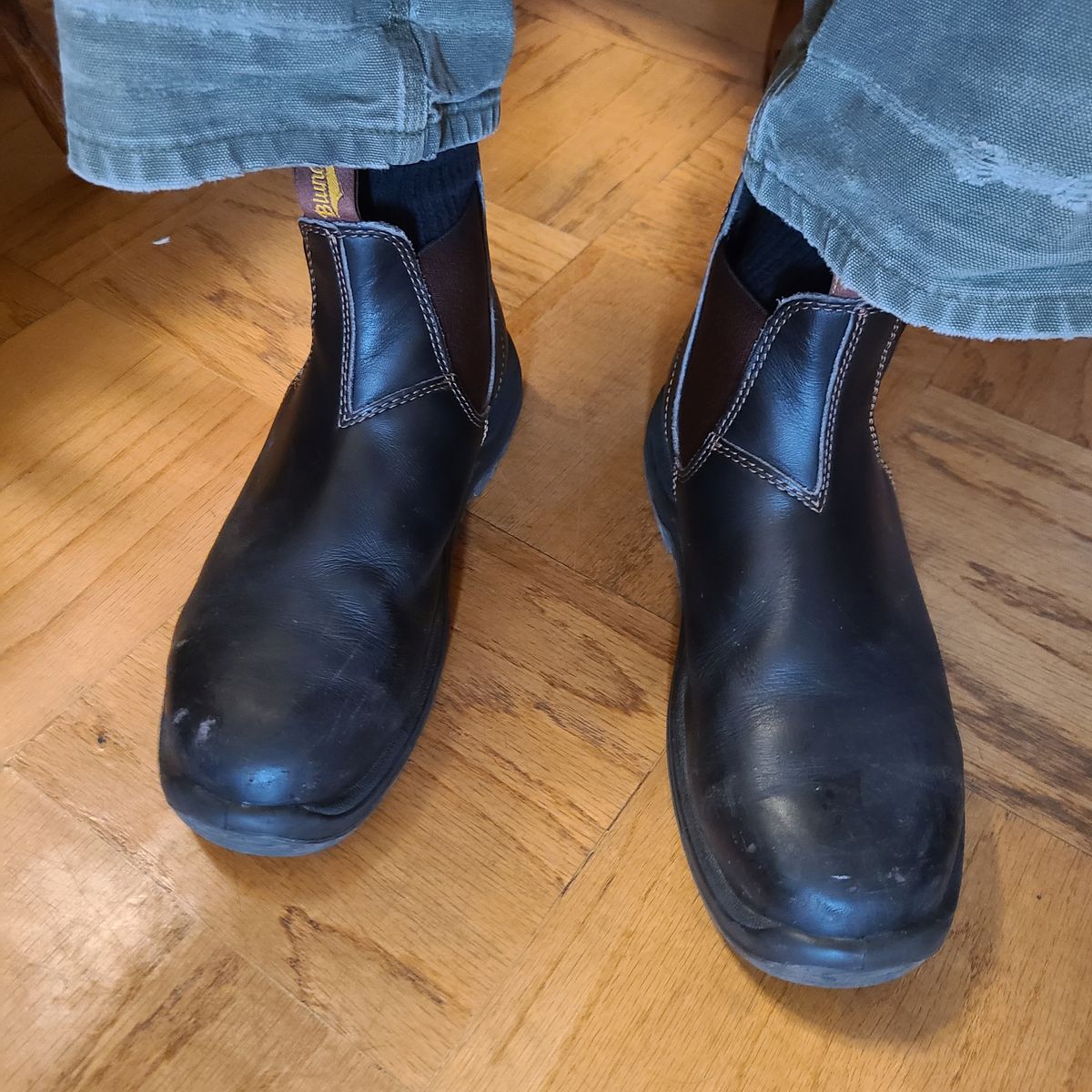 Photo by donyey on March 5, 2025 of the Blundstone 172 in Stout Brown.