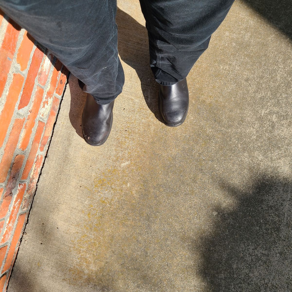 Photo by donyey on April 4, 2025 of the Blundstone 172 in Stout Brown.