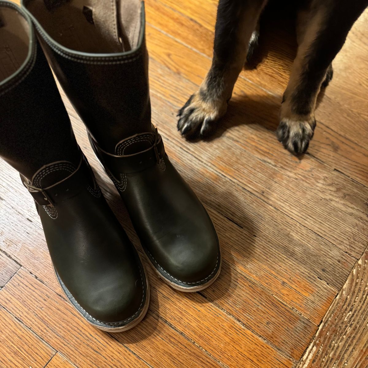 Photo by sthilburn on October 1, 2025 of the Wesco Boss Engineer Boot in Forest Chromexcel Leather.
