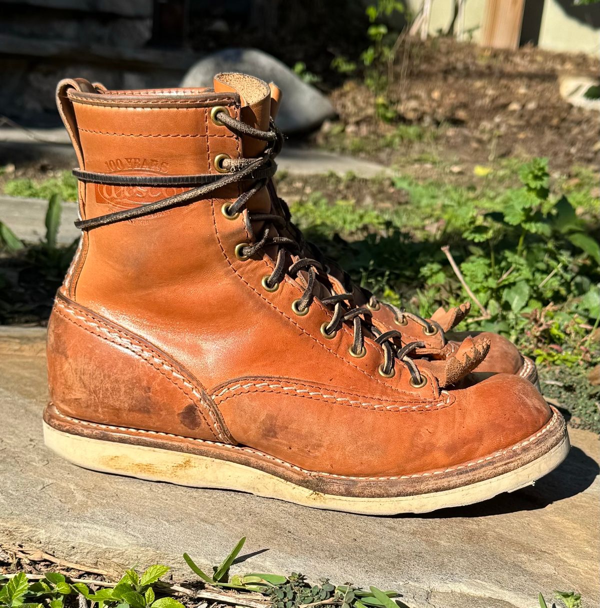 Photo by sthilburn on January 5, 2024 of the Wesco Jobmaster in Maryam Natural Horsehide.