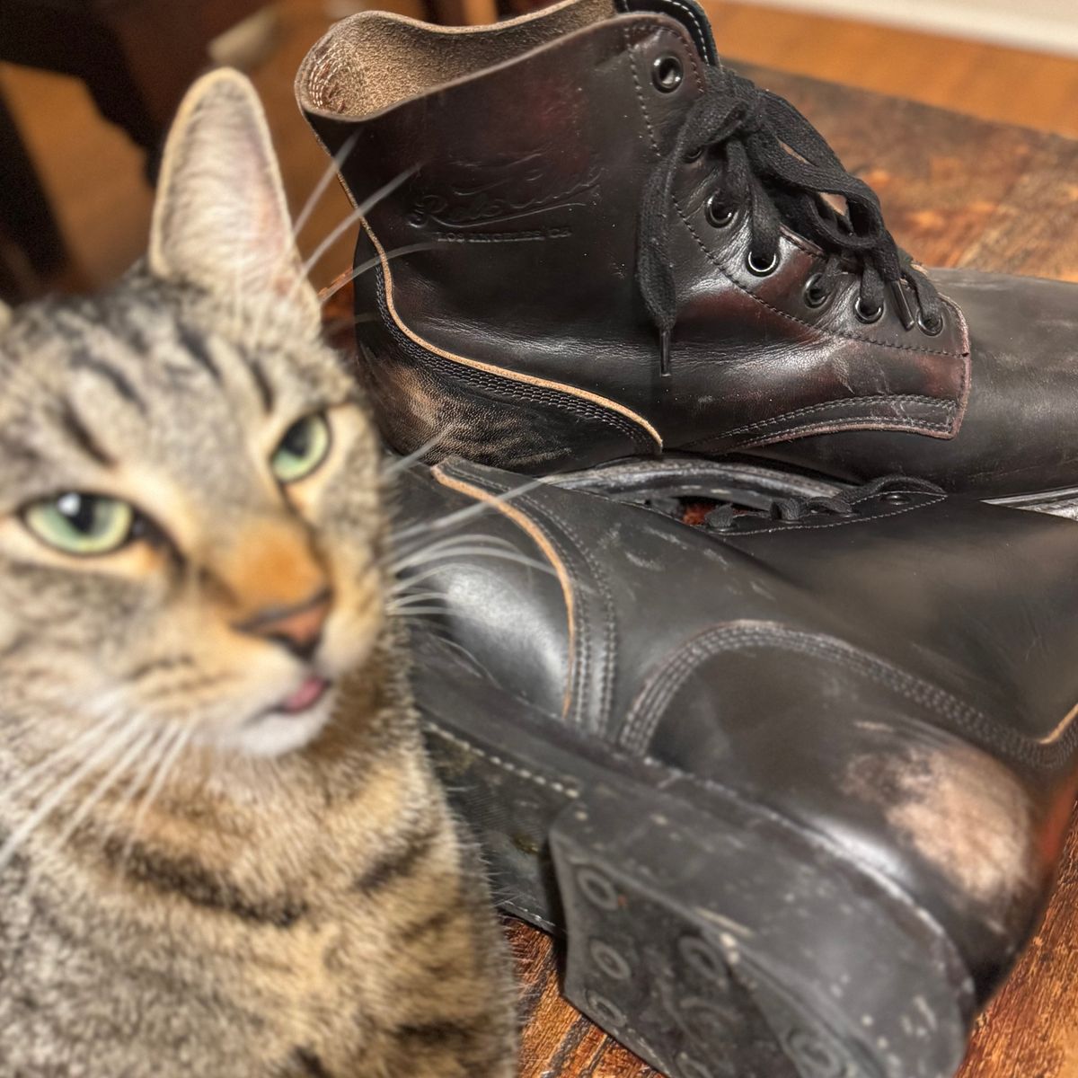 Photo by sthilburn on December 5, 2025 of the Role Club Boondockers in Handfinished CXL Horsehide.