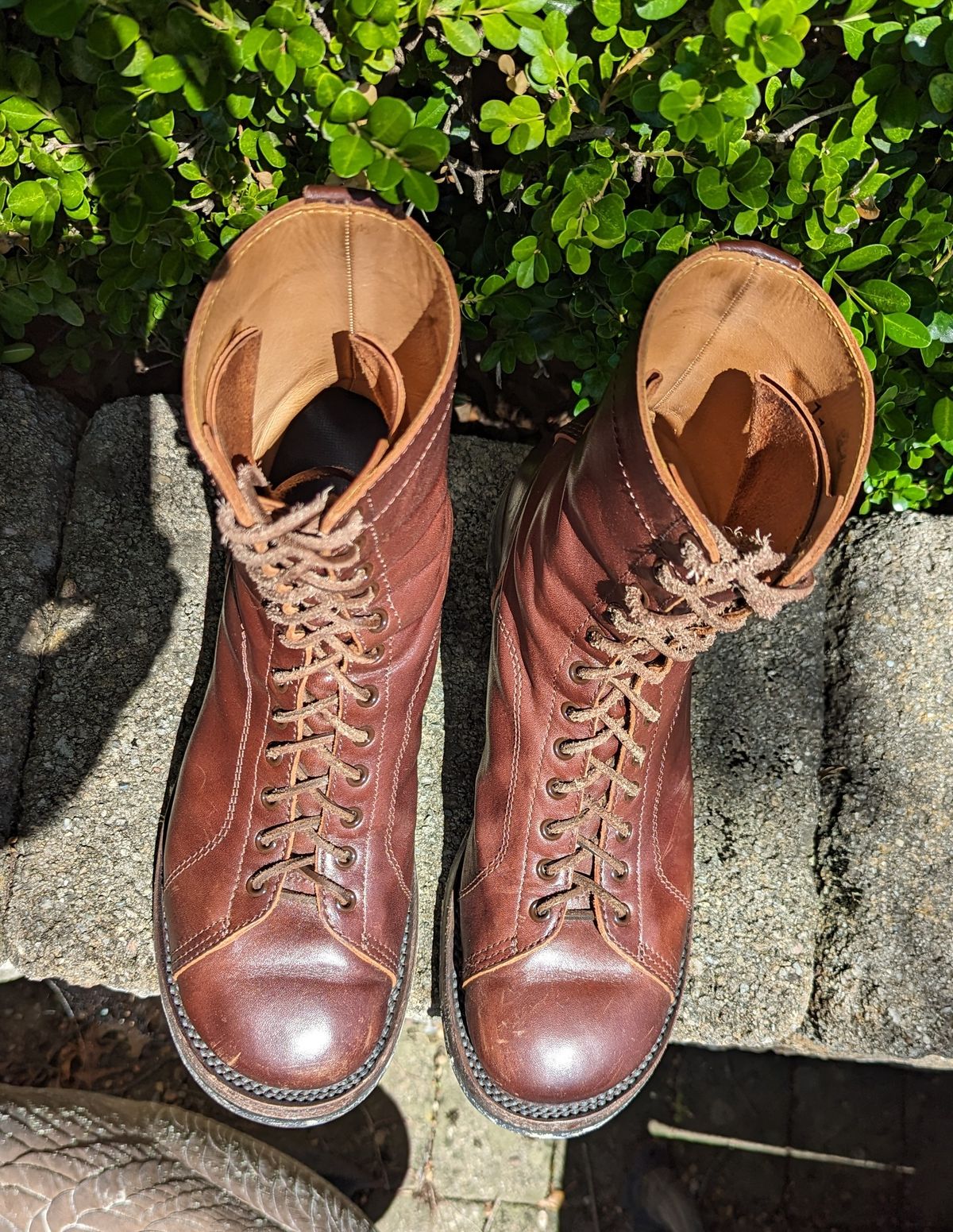 Photo by clefke on August 13, 2023 of the Eastman Leather Raider Boots in Walnut Horsehide.