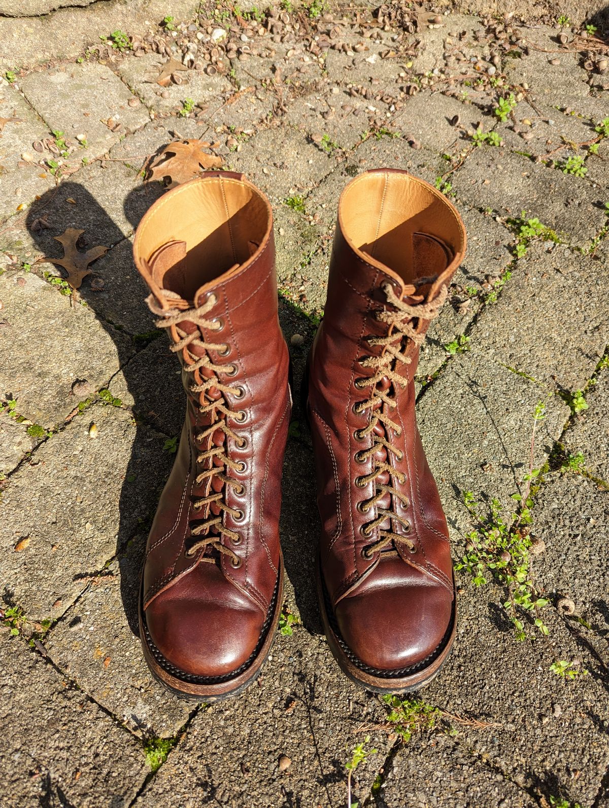 Photo by clefke on April 14, 2024 of the Eastman Leather Raider Boots in Walnut Horsehide.