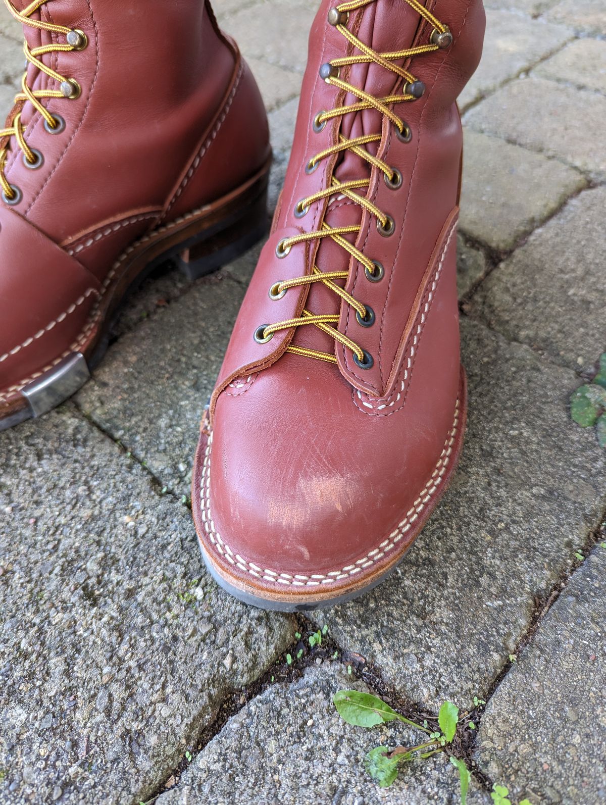 Photo by clefke on October 7, 2023 of the Wesco Highliner in Seidel Redwood Oil Tan.