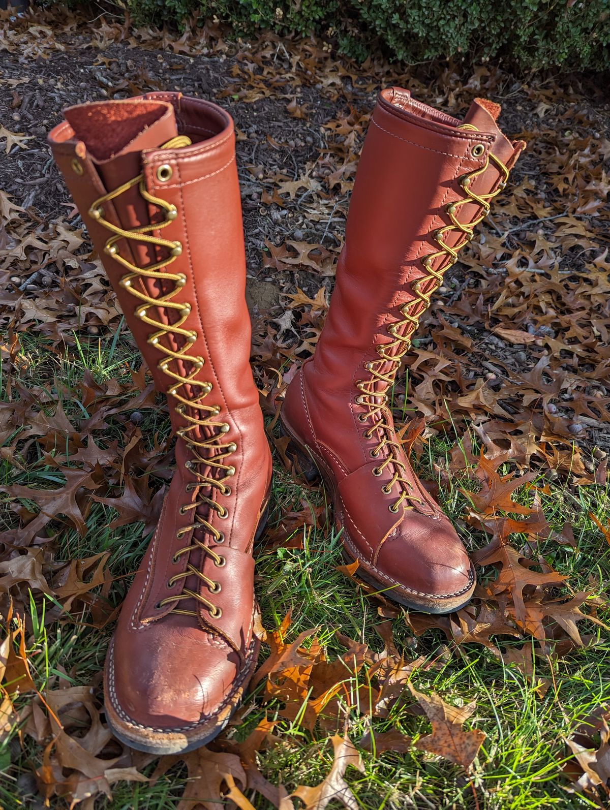 Photo by clefke on November 1, 2023 of the Wesco Highliner in Seidel Redwood Oil Tan.