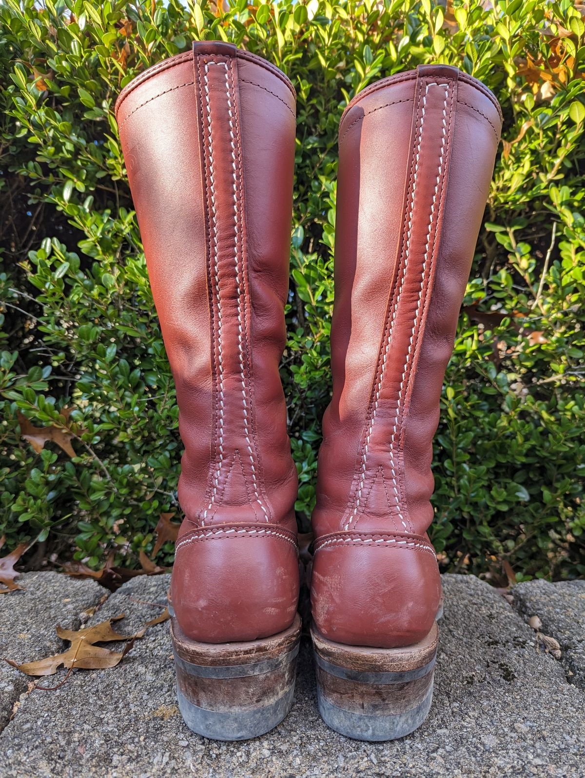 Photo by clefke on November 1, 2023 of the Wesco Highliner in Seidel Redwood Oil Tan.