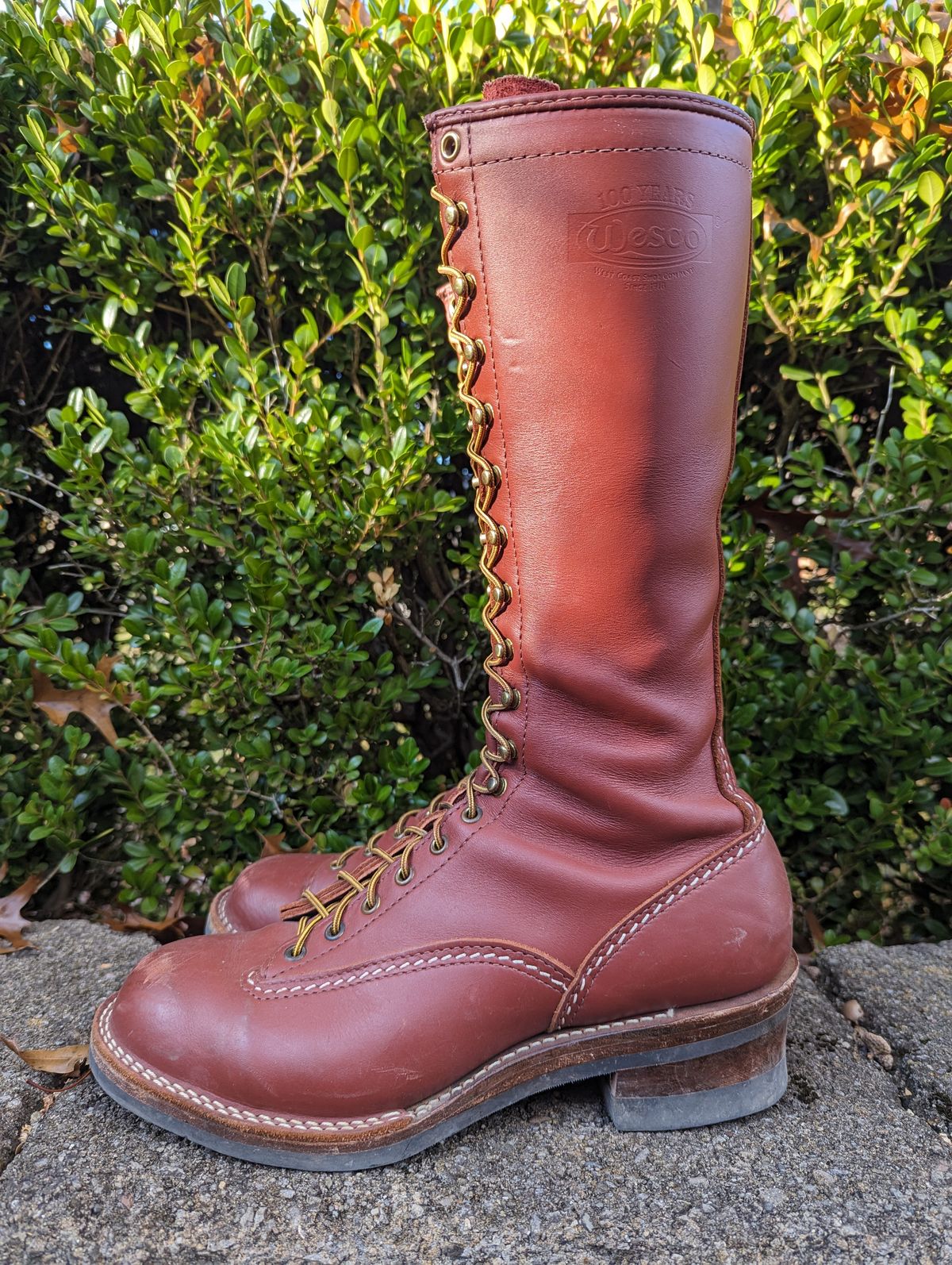 Photo by clefke on November 1, 2023 of the Wesco Highliner in Seidel Redwood Oil Tan.