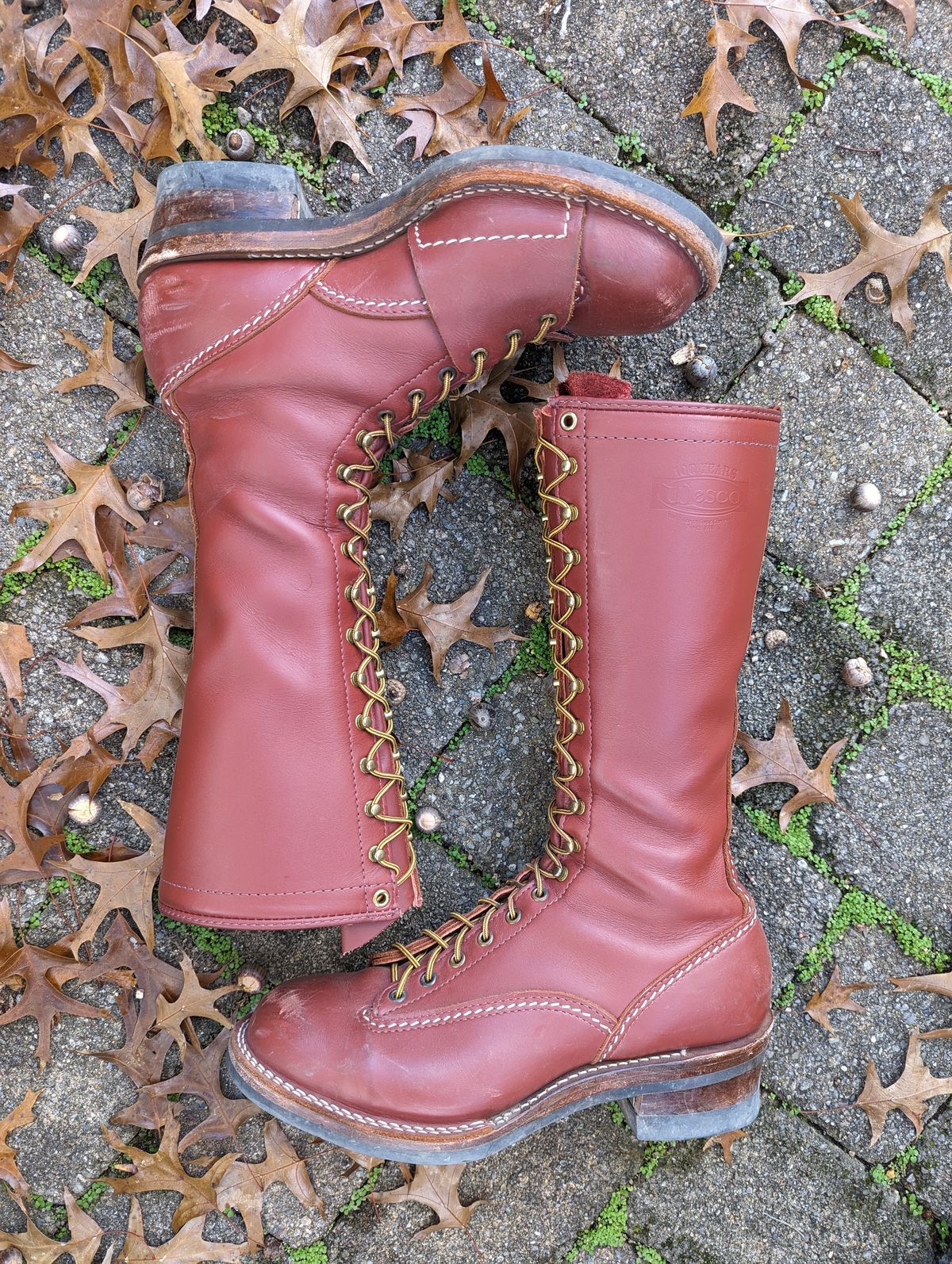 Photo by clefke on November 1, 2023 of the Wesco Highliner in Seidel Redwood Oil Tan.
