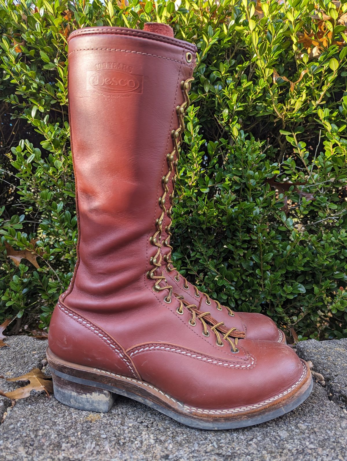Photo by clefke on November 1, 2023 of the Wesco Highliner in Seidel Redwood Oil Tan.