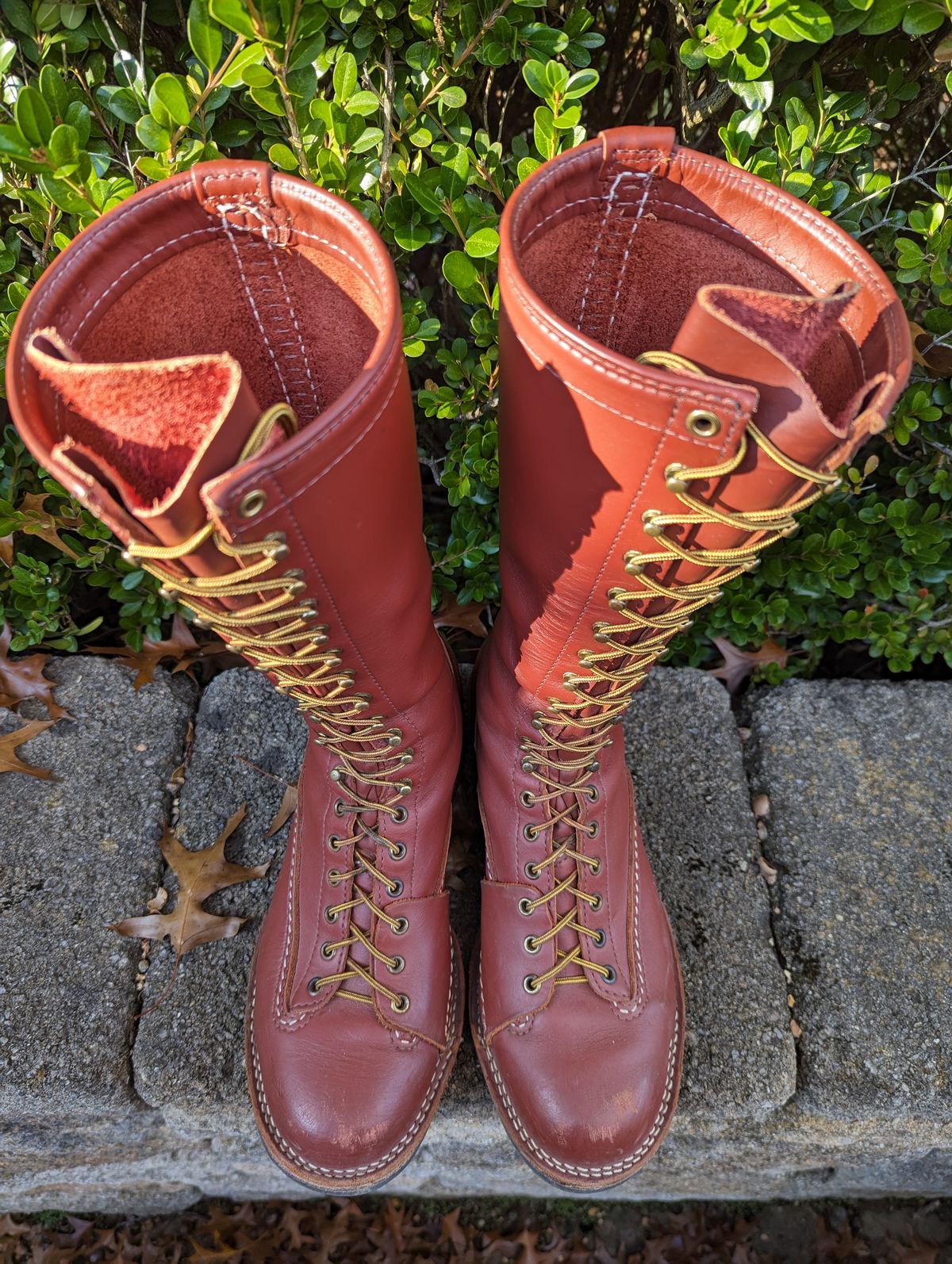 Photo by clefke on November 1, 2023 of the Wesco Highliner in Seidel Redwood Oil Tan.