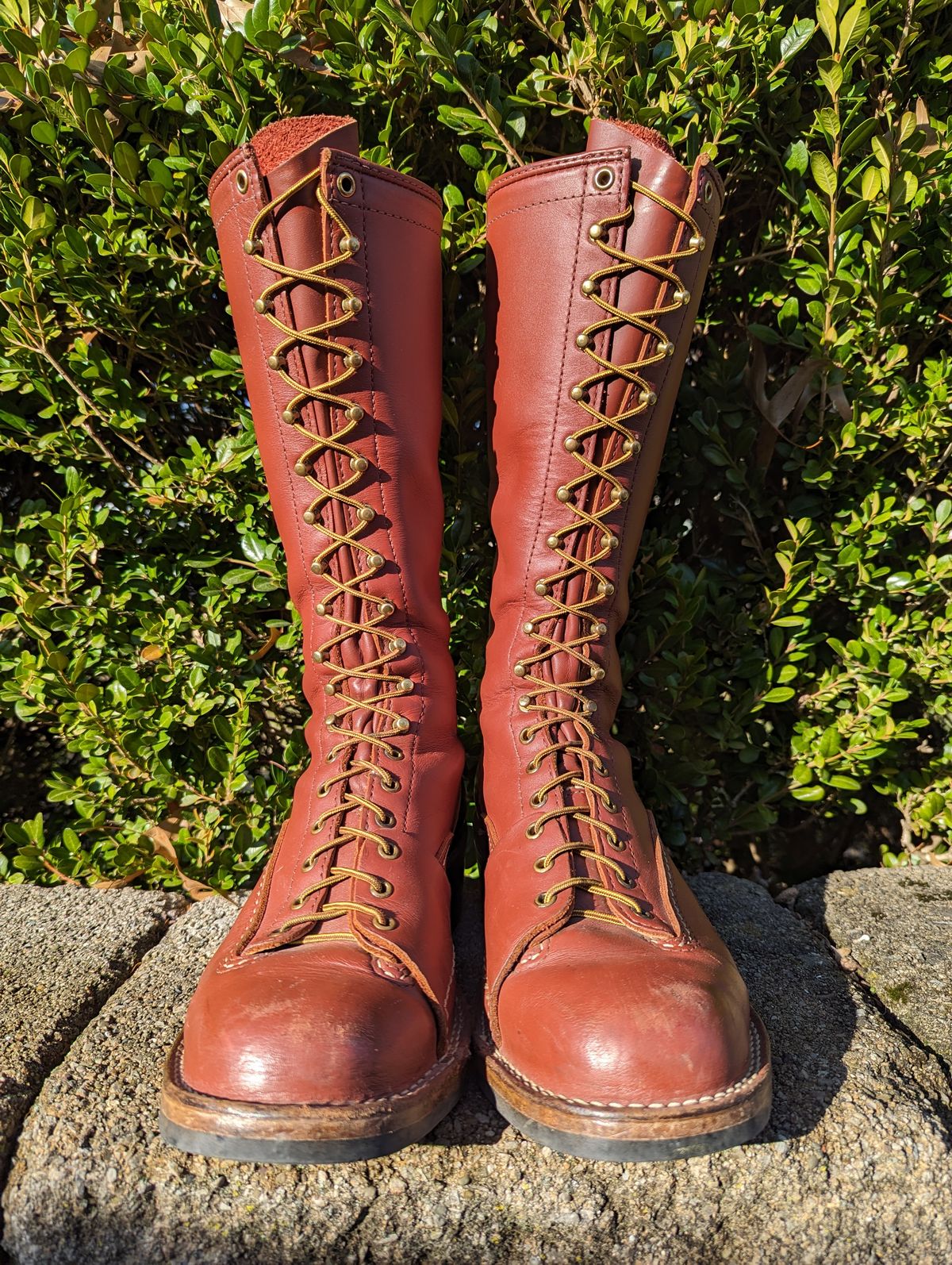 Photo by clefke on December 4, 2023 of the Wesco Highliner in Seidel Redwood Oil Tan.