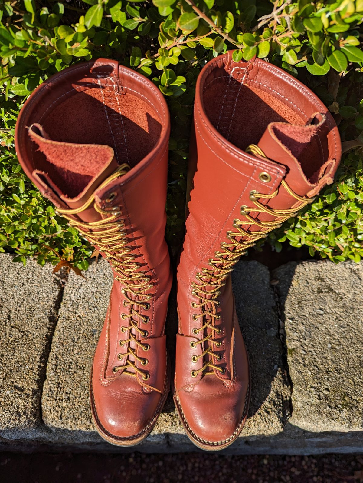 Photo by clefke on December 4, 2023 of the Wesco Highliner in Seidel Redwood Oil Tan.