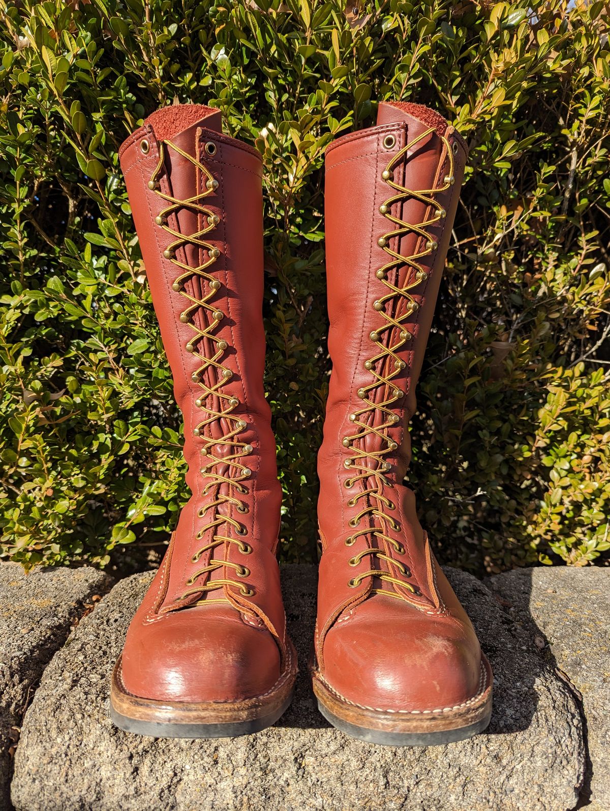 Photo by clefke on January 4, 2024 of the Wesco Highliner in Seidel Redwood Oil Tan.