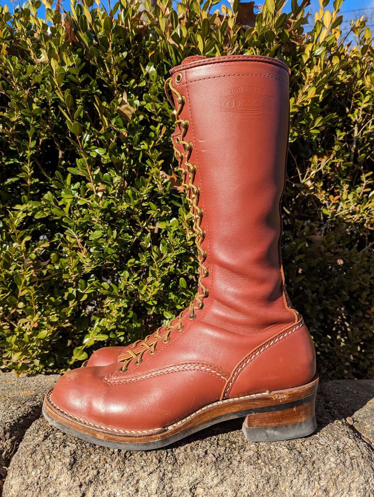 Photo by clefke on January 4, 2024 of the Wesco Highliner in Seidel Redwood Oil Tan.