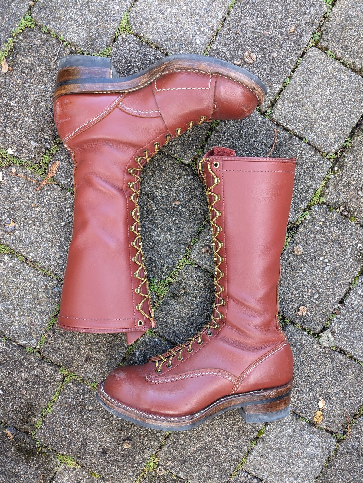 Photo by clefke on January 4, 2024 of the Wesco Highliner in Seidel Redwood Oil Tan.