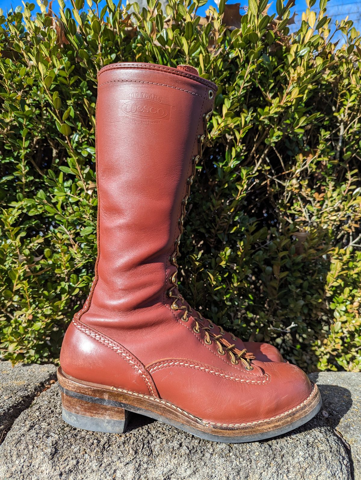 Photo by clefke on January 4, 2024 of the Wesco Highliner in Seidel Redwood Oil Tan.