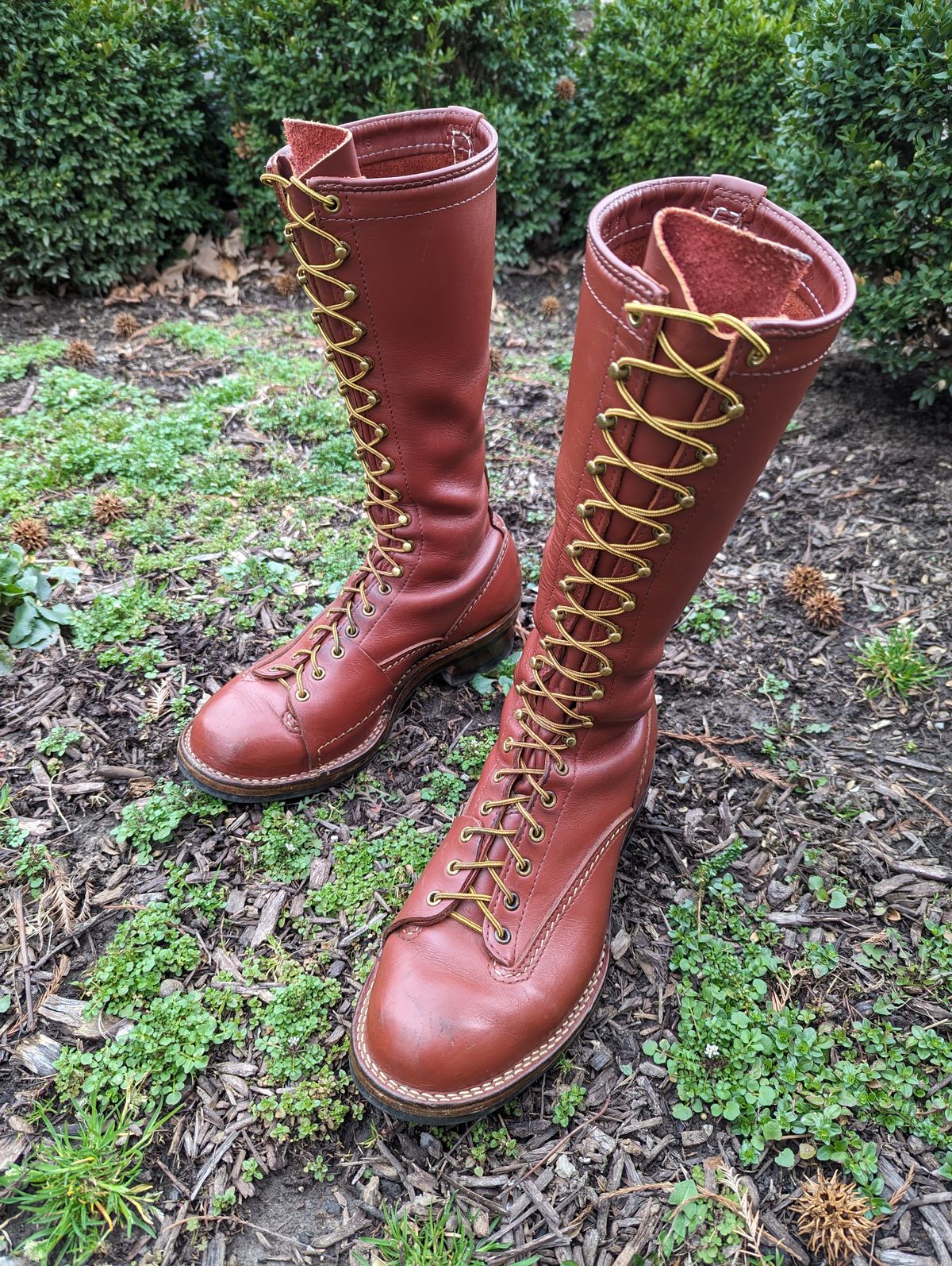 Photo by clefke on March 5, 2024 of the Wesco Highliner in Seidel Redwood Oil Tan.
