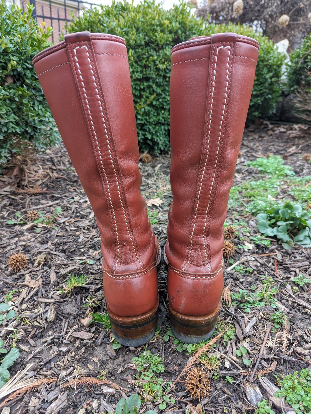 Photo by clefke on March 5, 2024 of the Wesco Highliner in Seidel Redwood Oil Tan.