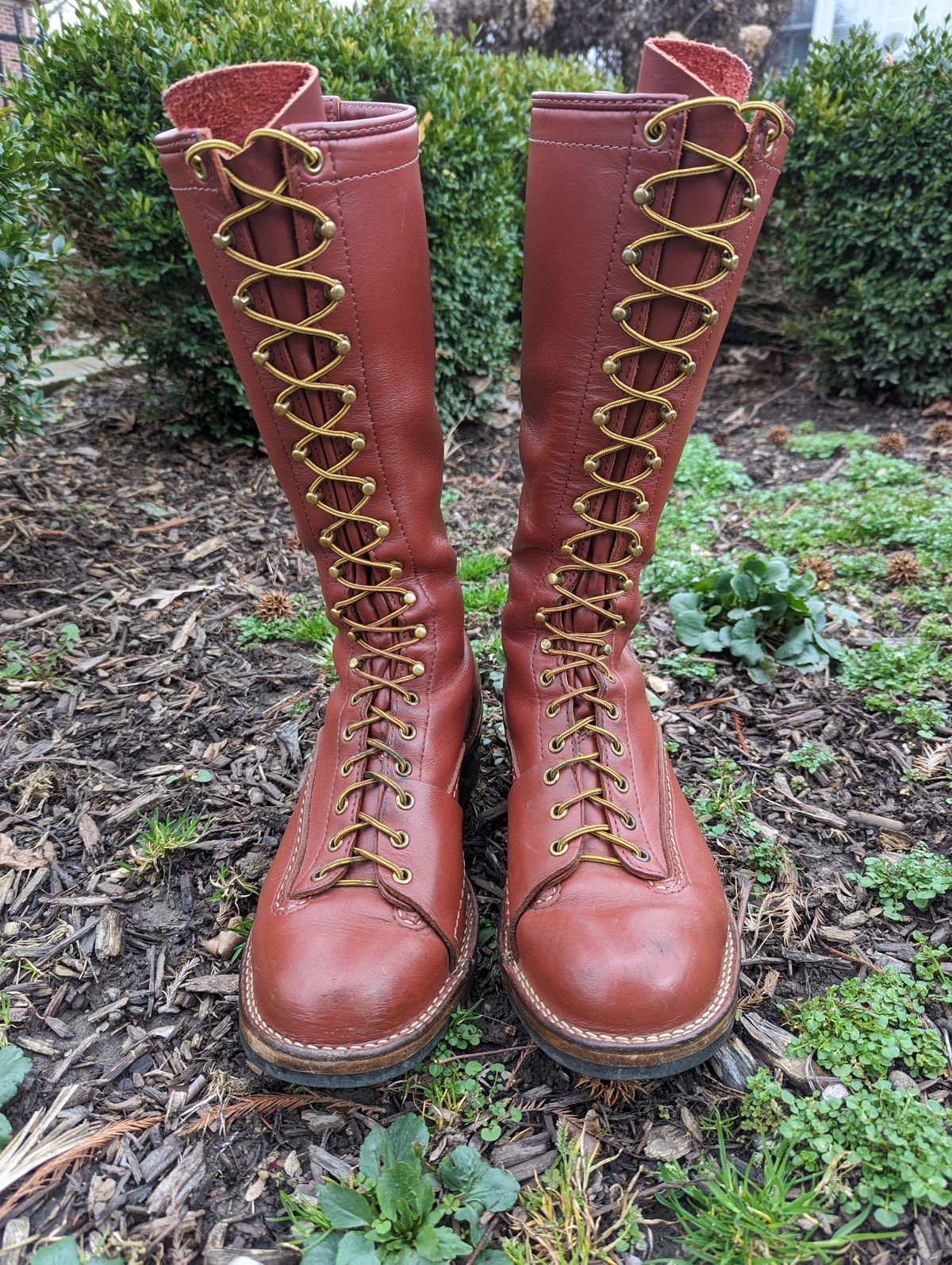 Photo by clefke on March 5, 2024 of the Wesco Highliner in Seidel Redwood Oil Tan.