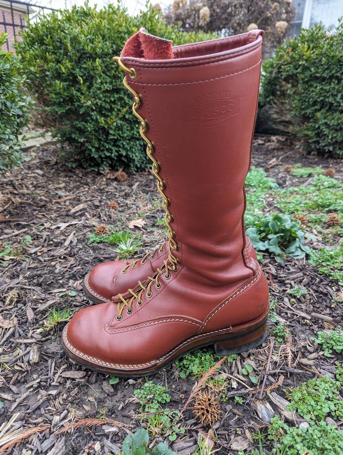 Photo by clefke on March 5, 2024 of the Wesco Highliner in Seidel Redwood Oil Tan.