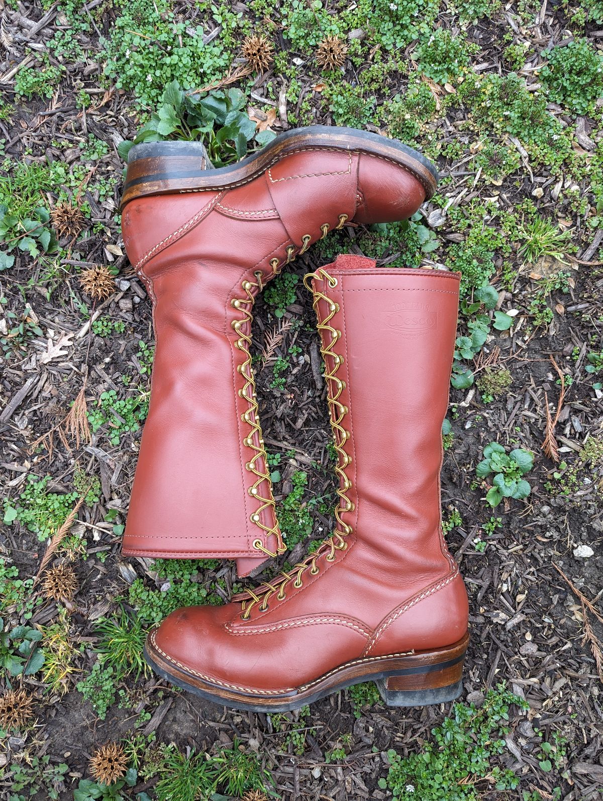Photo by clefke on March 5, 2024 of the Wesco Highliner in Seidel Redwood Oil Tan.