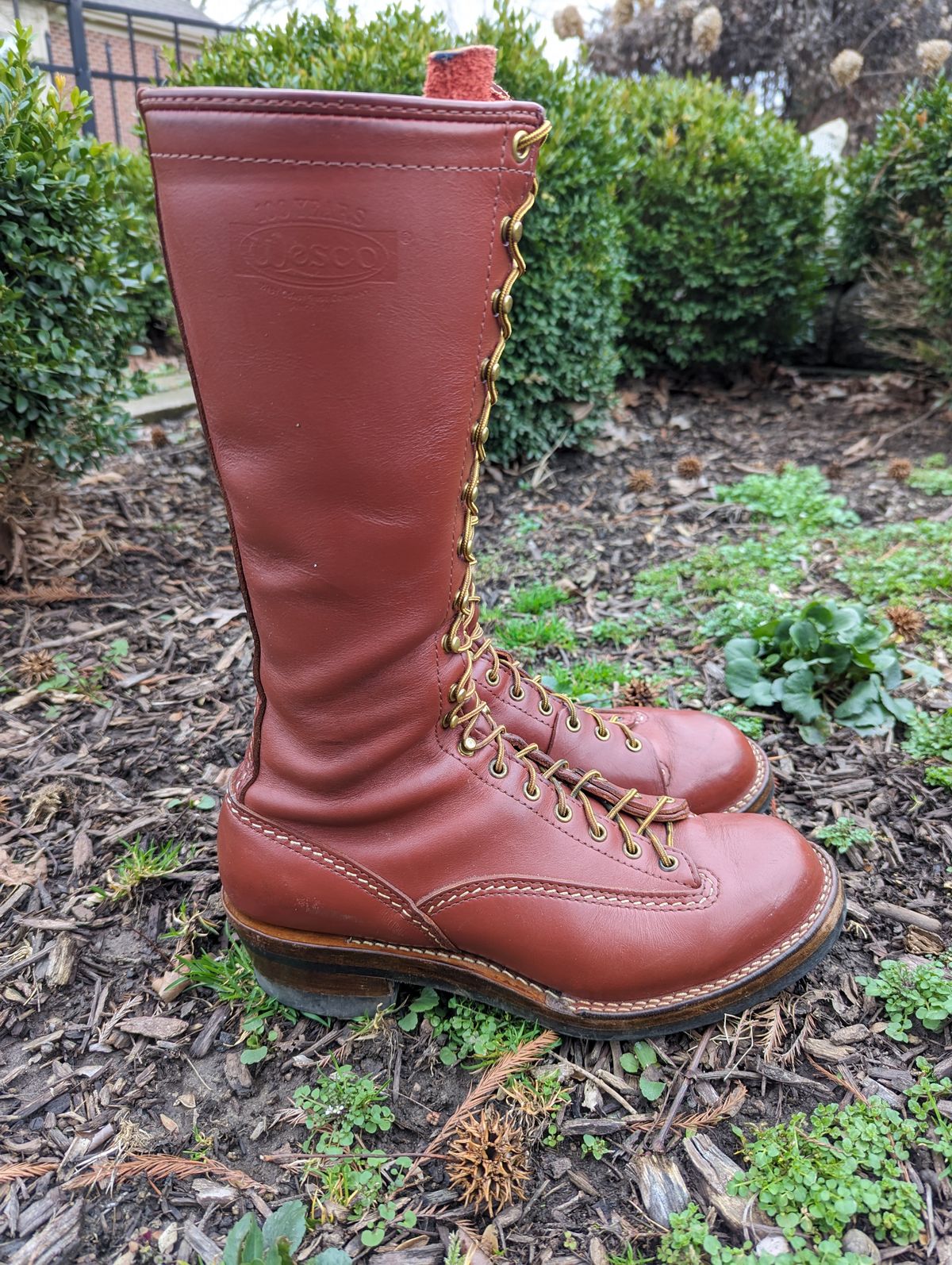 Photo by clefke on March 5, 2024 of the Wesco Highliner in Seidel Redwood Oil Tan.