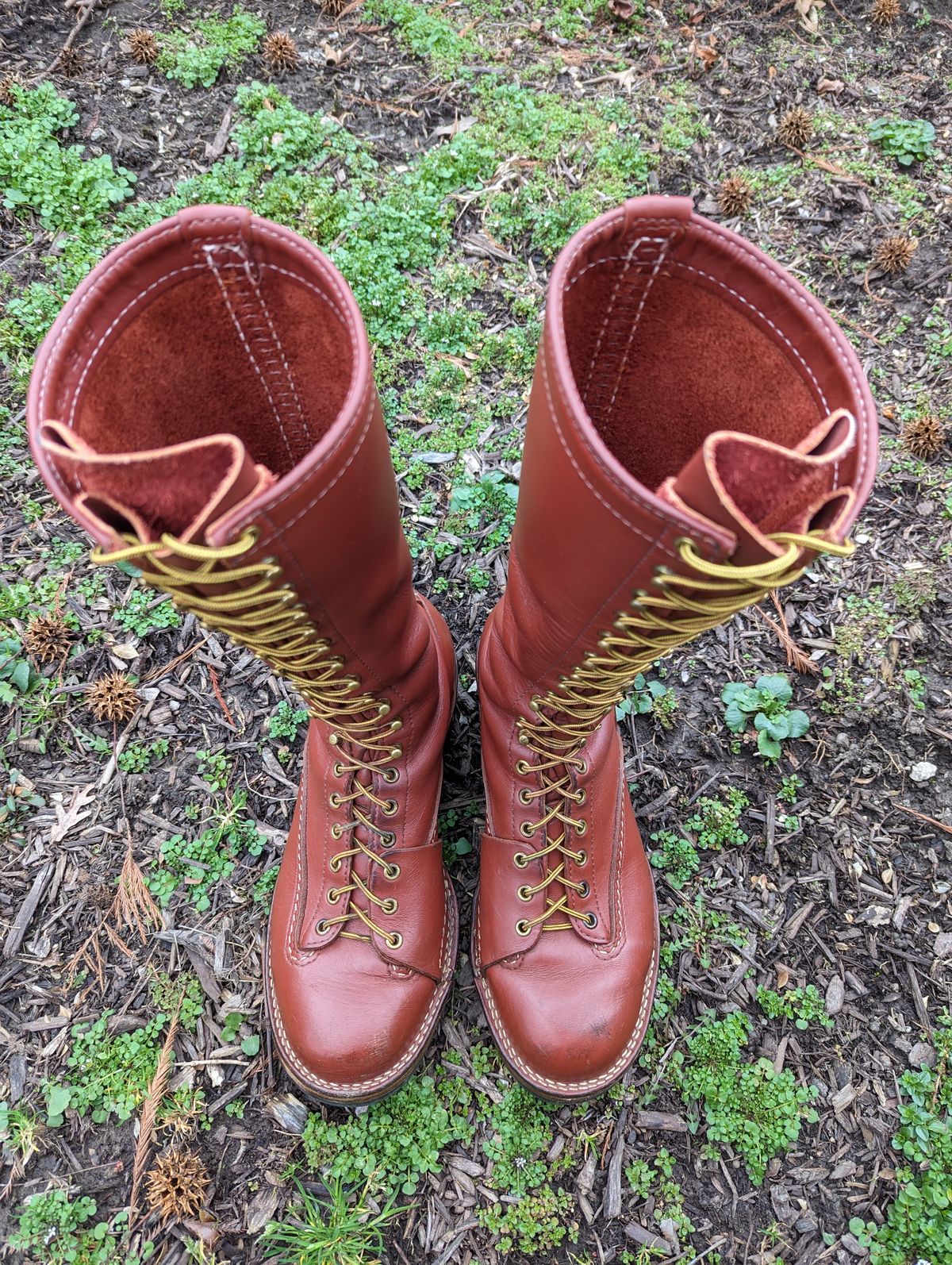 Photo by clefke on March 5, 2024 of the Wesco Highliner in Seidel Redwood Oil Tan.