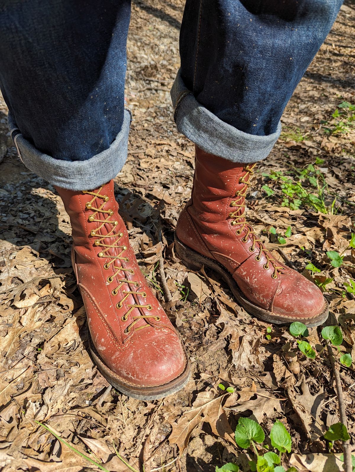 Photo by clefke on April 14, 2024 of the Wesco Highliner in Seidel Redwood Oil Tan.