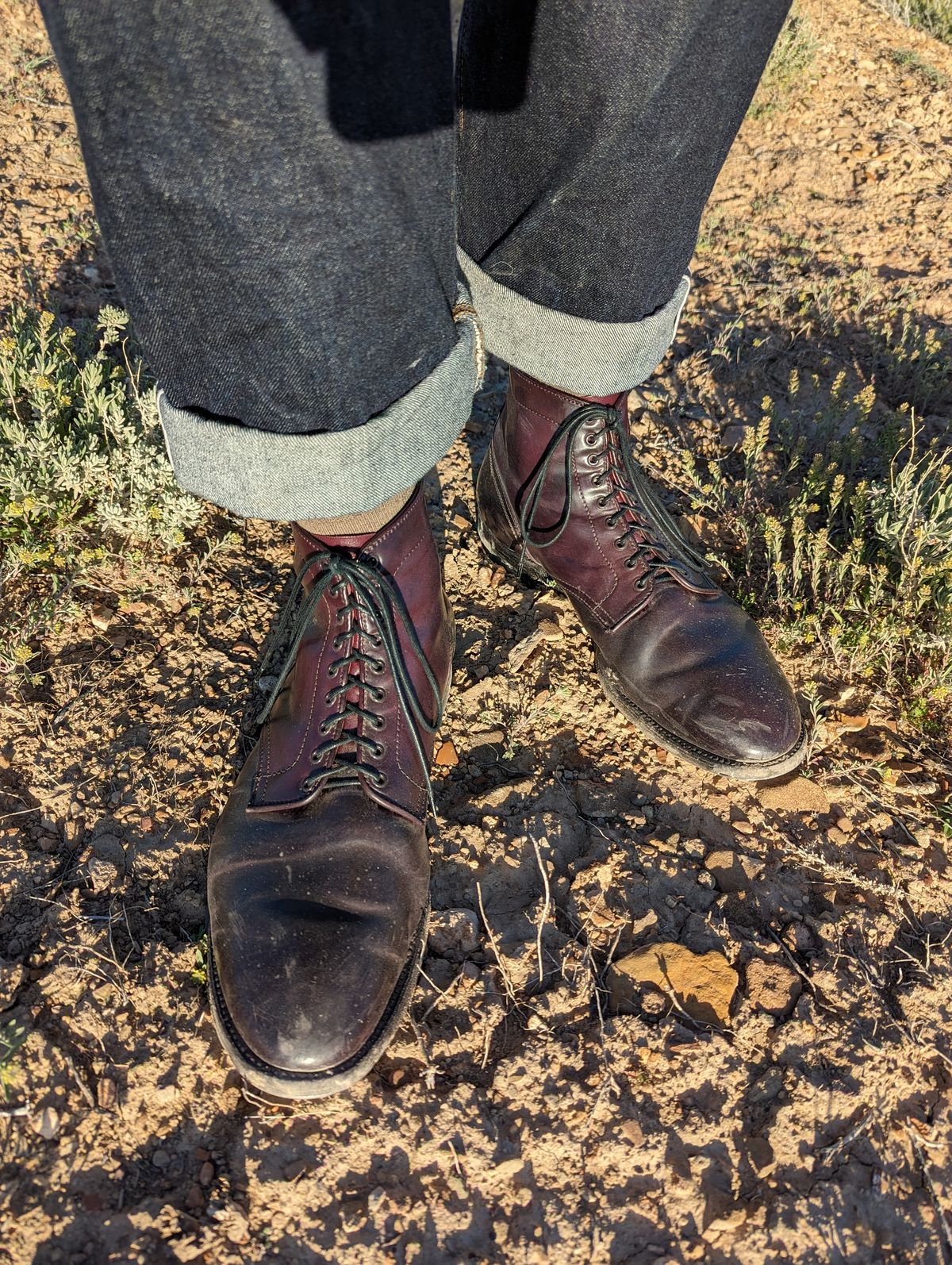 Photo by clefke on April 16, 2023 of the Alden Plain Toe Boot in Horween Color 8 Shell Cordovan.
