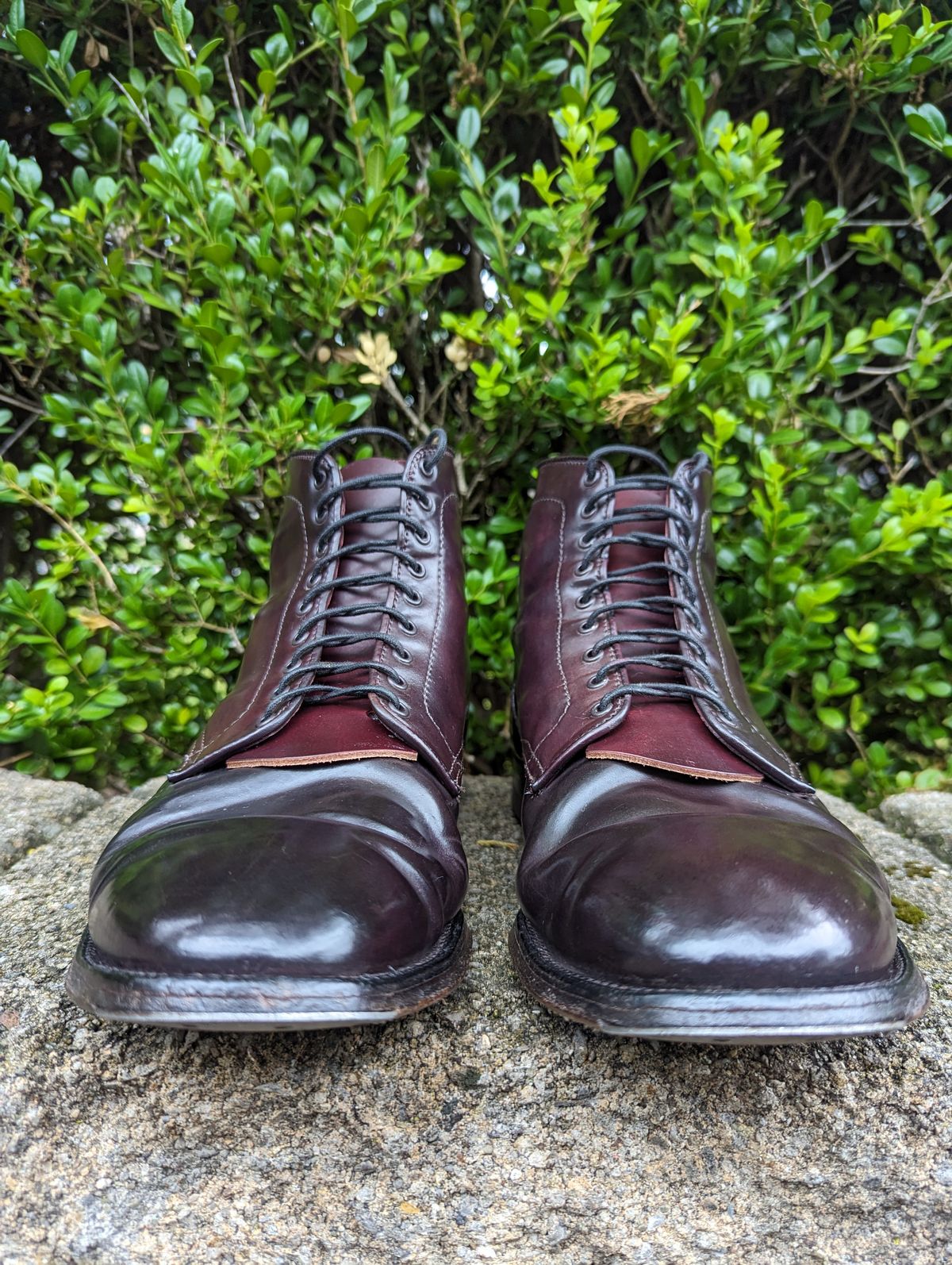 Photo by clefke on July 2, 2023 of the Alden Plain Toe Boot in Horween Color 8 Shell Cordovan.