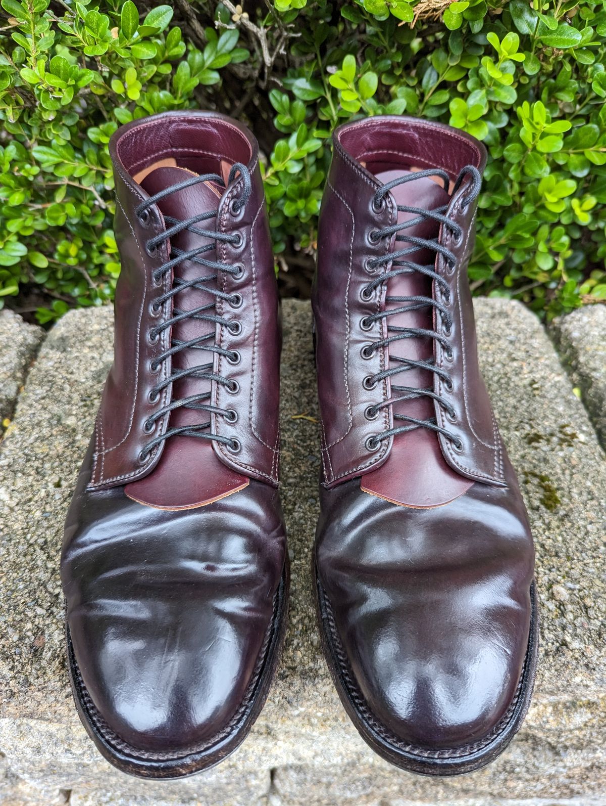 Photo by clefke on July 2, 2023 of the Alden Plain Toe Boot in Horween Color 8 Shell Cordovan.