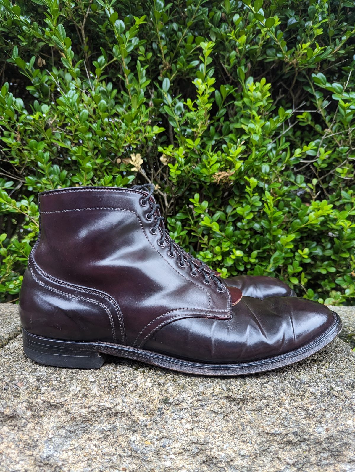 Photo by clefke on July 2, 2023 of the Alden Plain Toe Boot in Horween Color 8 Shell Cordovan.