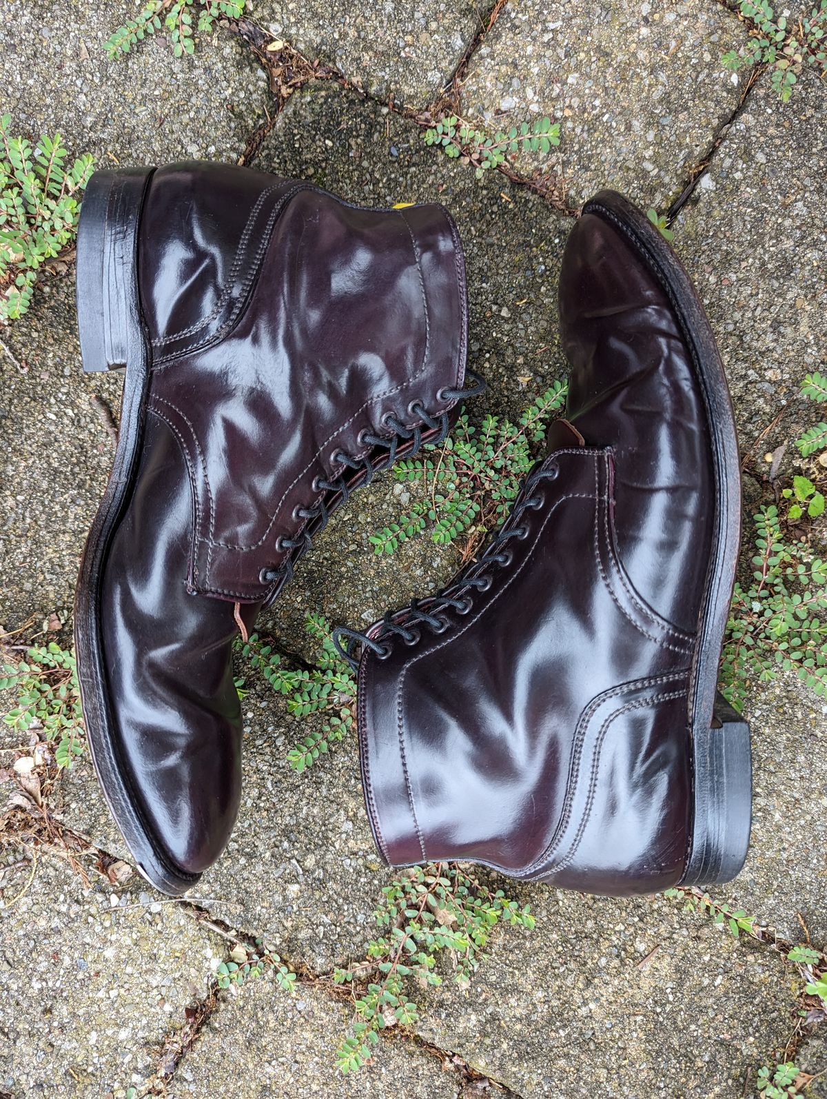 Photo by clefke on July 2, 2023 of the Alden Plain Toe Boot in Horween Color 8 Shell Cordovan.