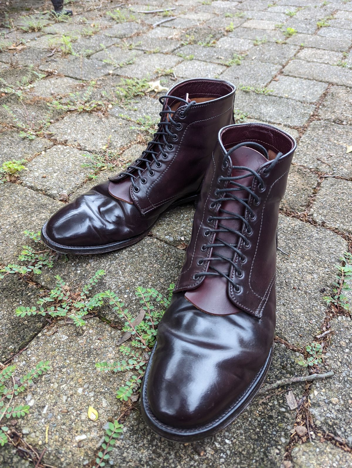 Photo by clefke on July 2, 2023 of the Alden Plain Toe Boot in Horween Color 8 Shell Cordovan.