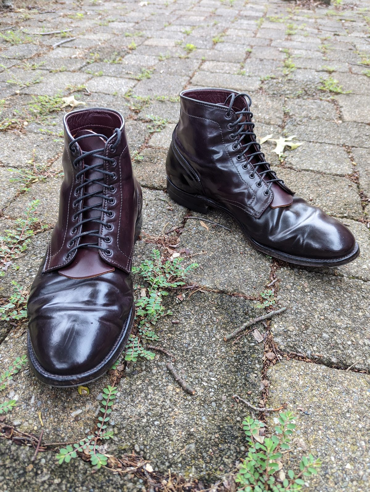 Photo by clefke on July 2, 2023 of the Alden Plain Toe Boot in Horween Color 8 Shell Cordovan.